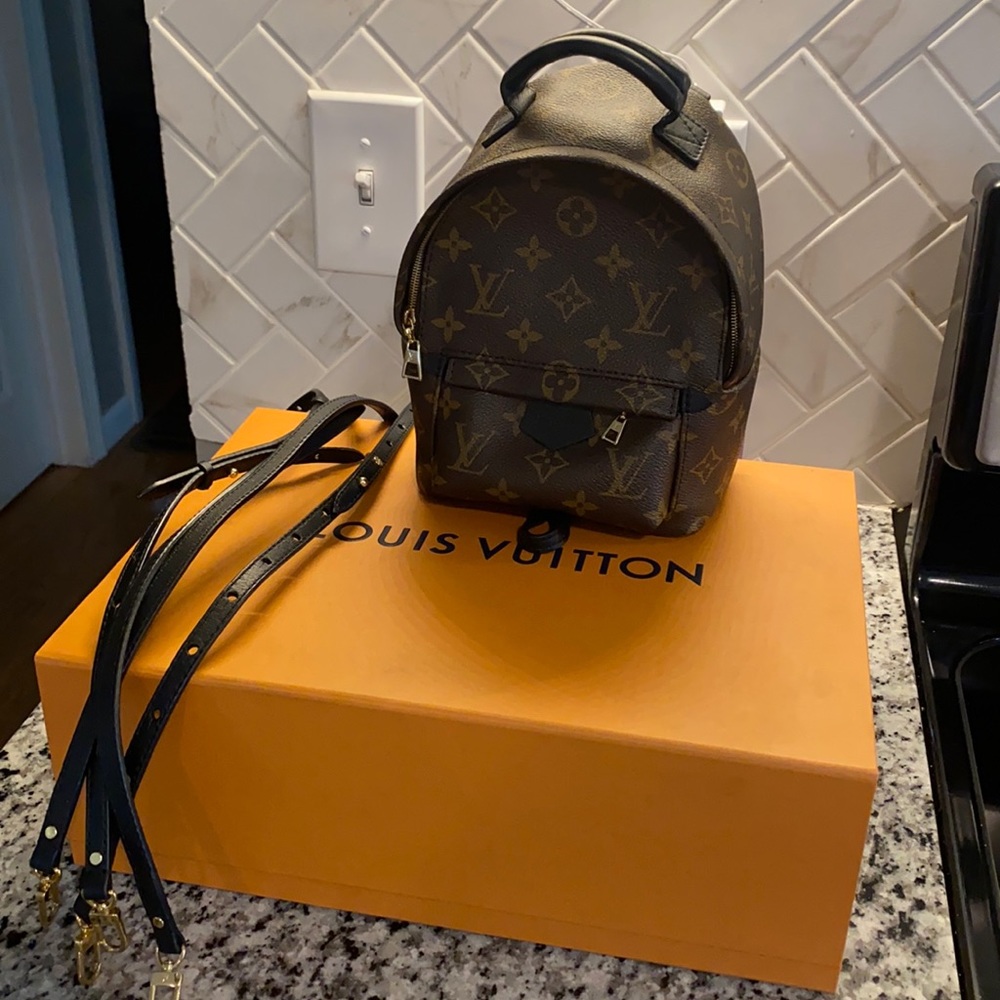 Louis Vuitton Palm Springs Mini (old zipper)